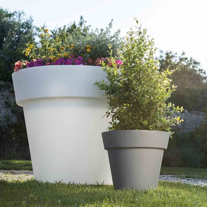 Pot de Fleurs en résine mod. Begonia main product photo