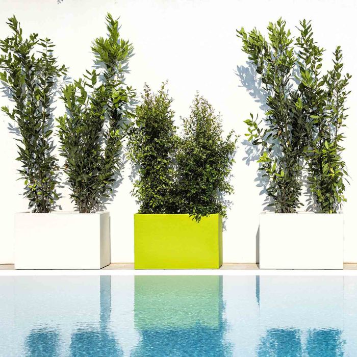 Jardinière mod. Flowerpot Rectangulaire main product photo